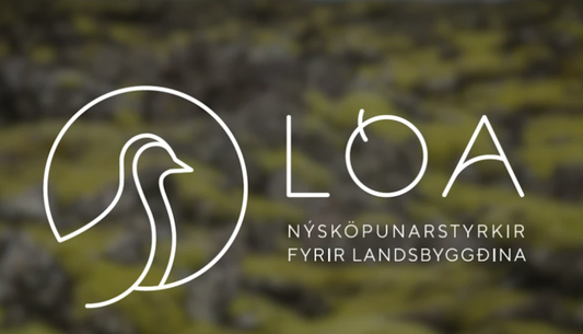GeoSilica hlýtur nýsköpunarstyrk frá Lóu