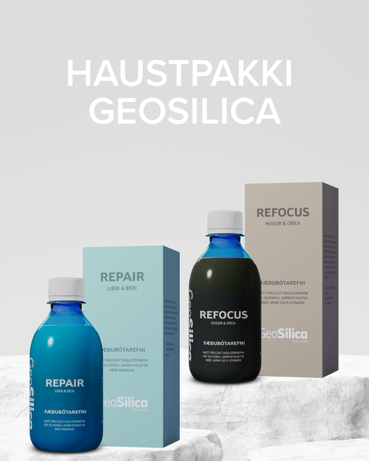 Haustpakki GeoSilica - REFOCUS + REPAIR